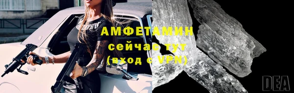 гидра Надым