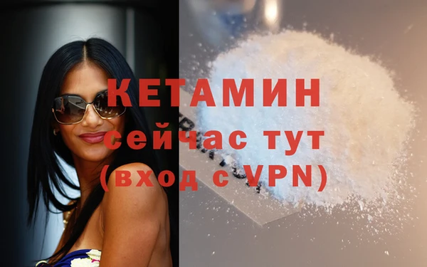 гидра Надым