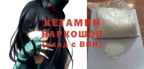 гидра Надым