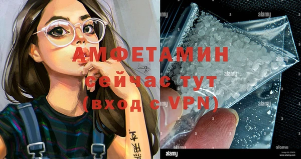 гидра Надым