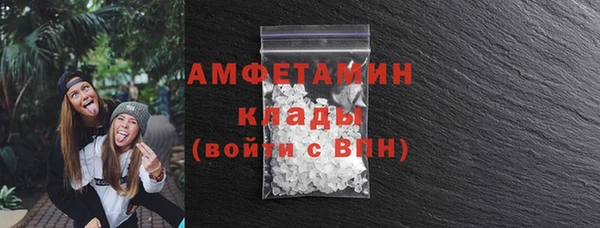 гидра Надым