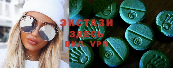 гидра Надым