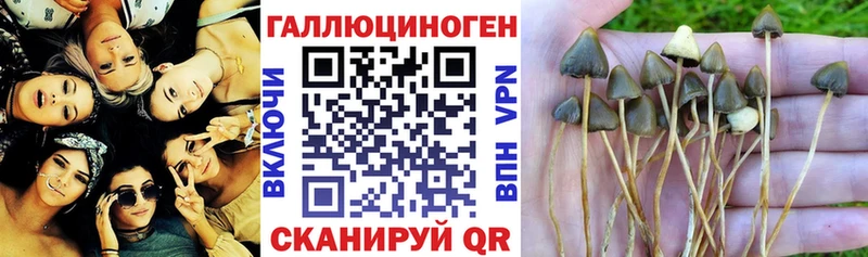 Купить закладки  Сим  Галлюциногенные грибы прущие грибы 